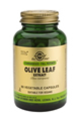 SOLGAR SFP OLIVE LEAF EXTRACT 60VCAP