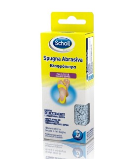 SCHOLL ΕΛΑΦΡΟΠΕΤΡΑ