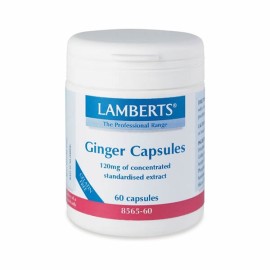 LAMBERTS GINGER 120MG 60CAP