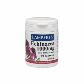 LAMBERTS ECHINACEA 1000MG 60TAB