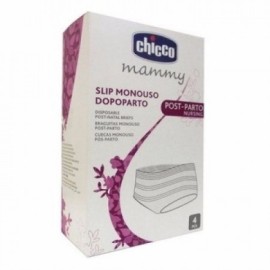 CHICCO MAMMY ΕΣΩΡΟΥΧΑ ΑΠΟ ΕΛΑΣΤΙΚΟ ΔΙΧΤΥ ΜΙΑΣ ΧΡΗΣ