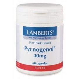 LAMBERTS PYCNOGENOL 40MG 60CAPS